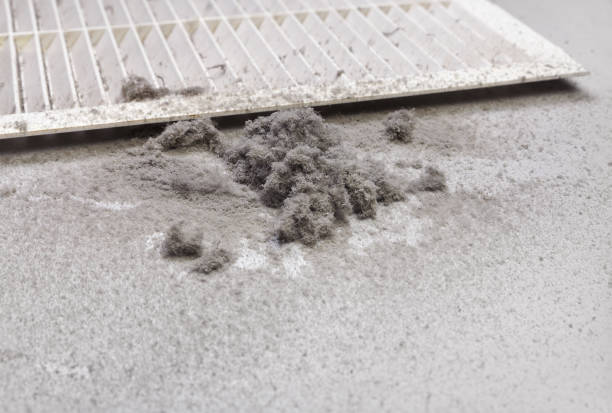 Best Air Duct Cleaning Company Near Me  in Manteno, IL